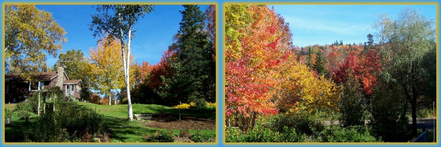 autumn views from the back and front