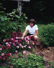 Yvonne with one of her many colorful plantings