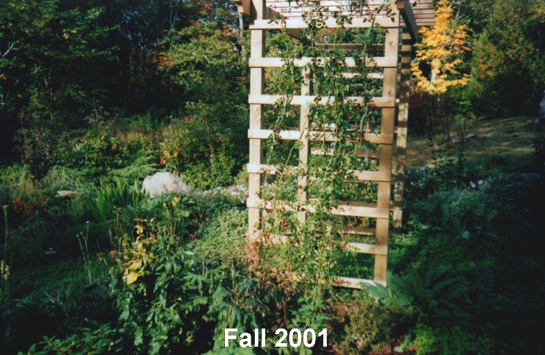 rose arbor , fall2001